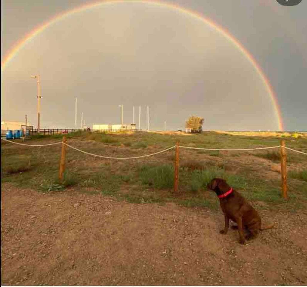 Casa Azul Ras El Maa - Entrada